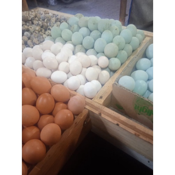 

telur ayam kampung