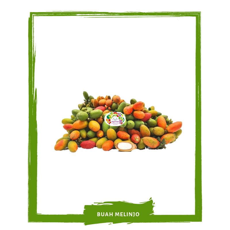 

Buah Melinjo / Belinjo Dengan Sayur Segar By Mallahrizwa