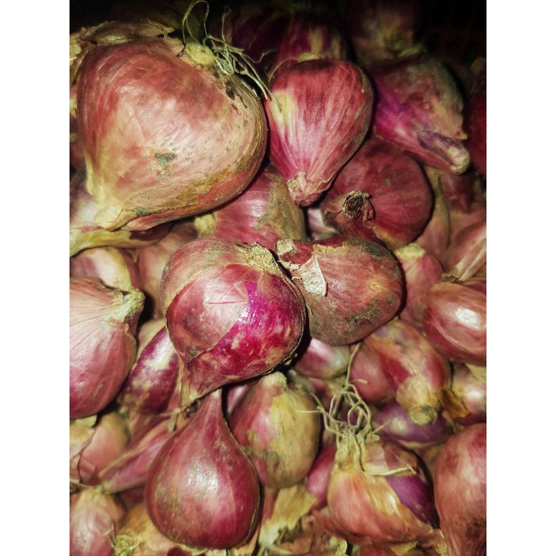 

(SAYURSEGAR)BAWANG MERAH BREBES 500Gr