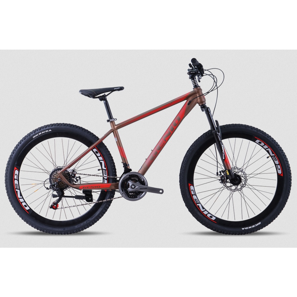 SEPEDA GUNUNG MTB GENIO M 349 24SP