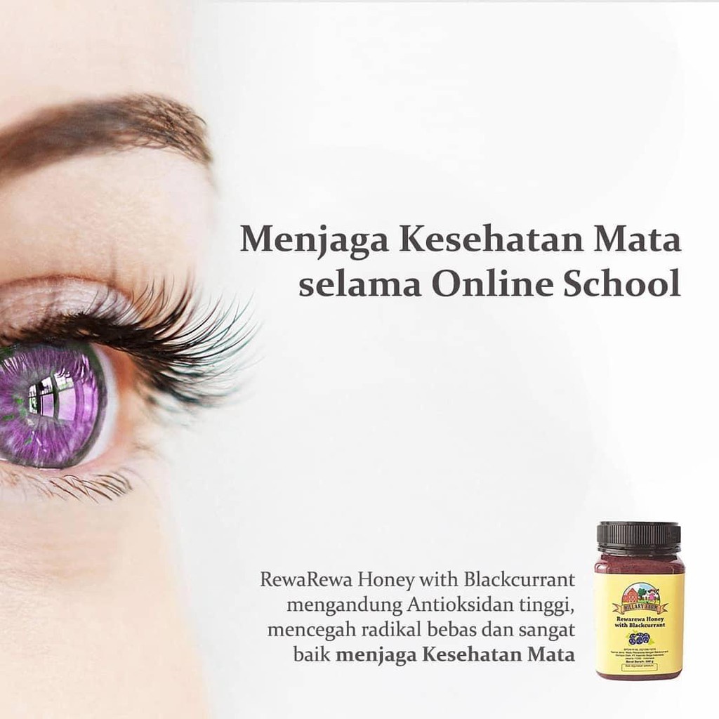 Hillary Farm Rewa Rewa Blackcurrant Honey 500gr