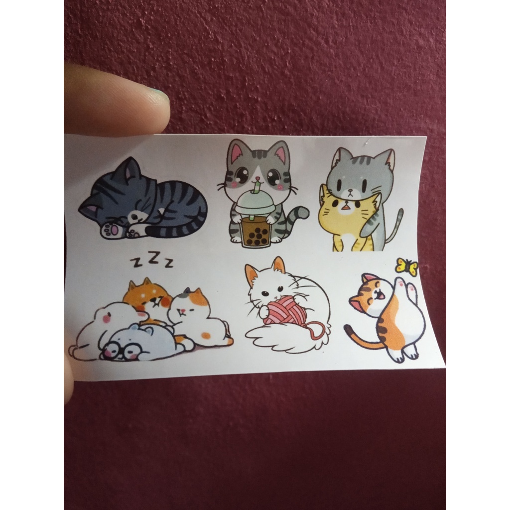 

Stiker Kucing Lucu