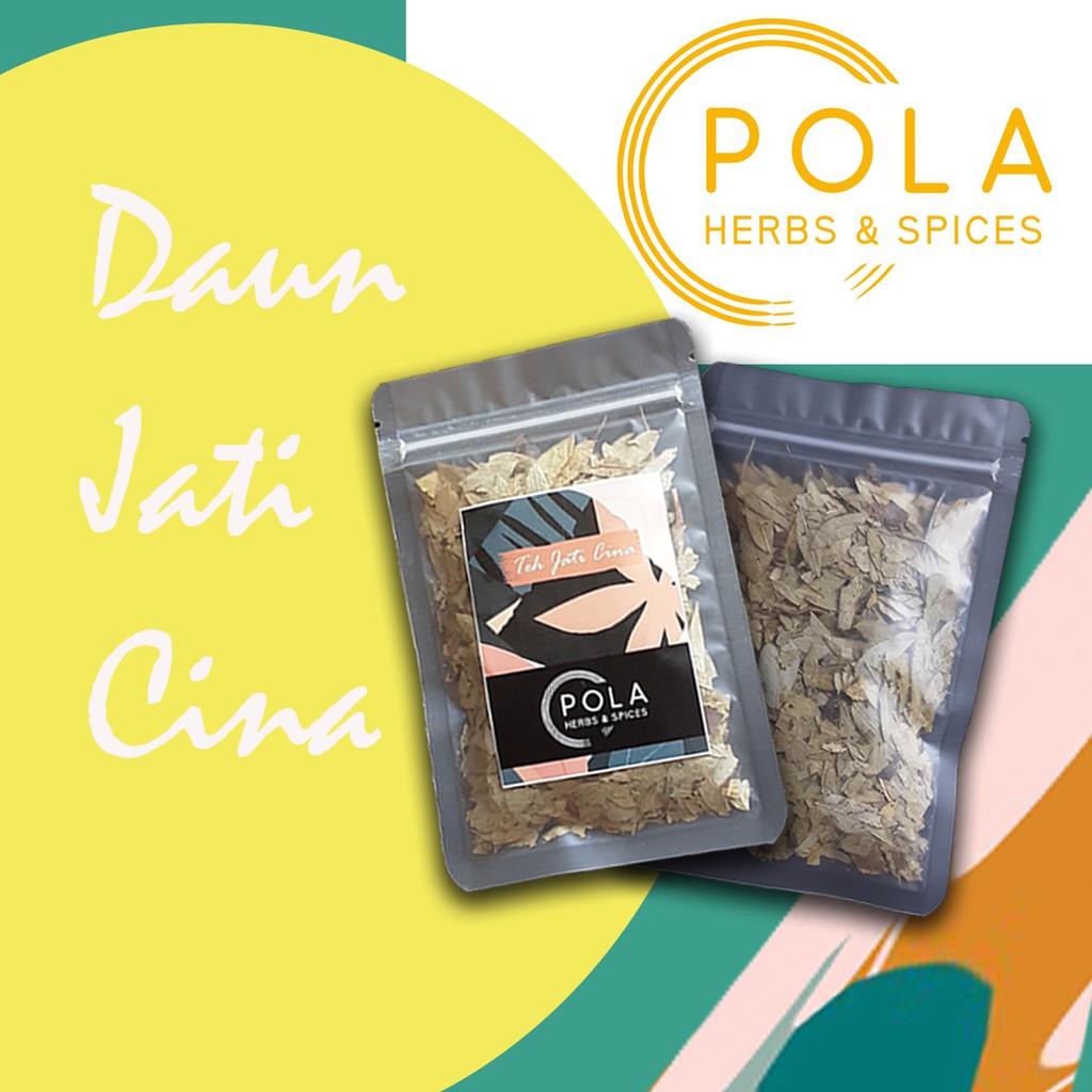 

Daun Jati Cina Kering