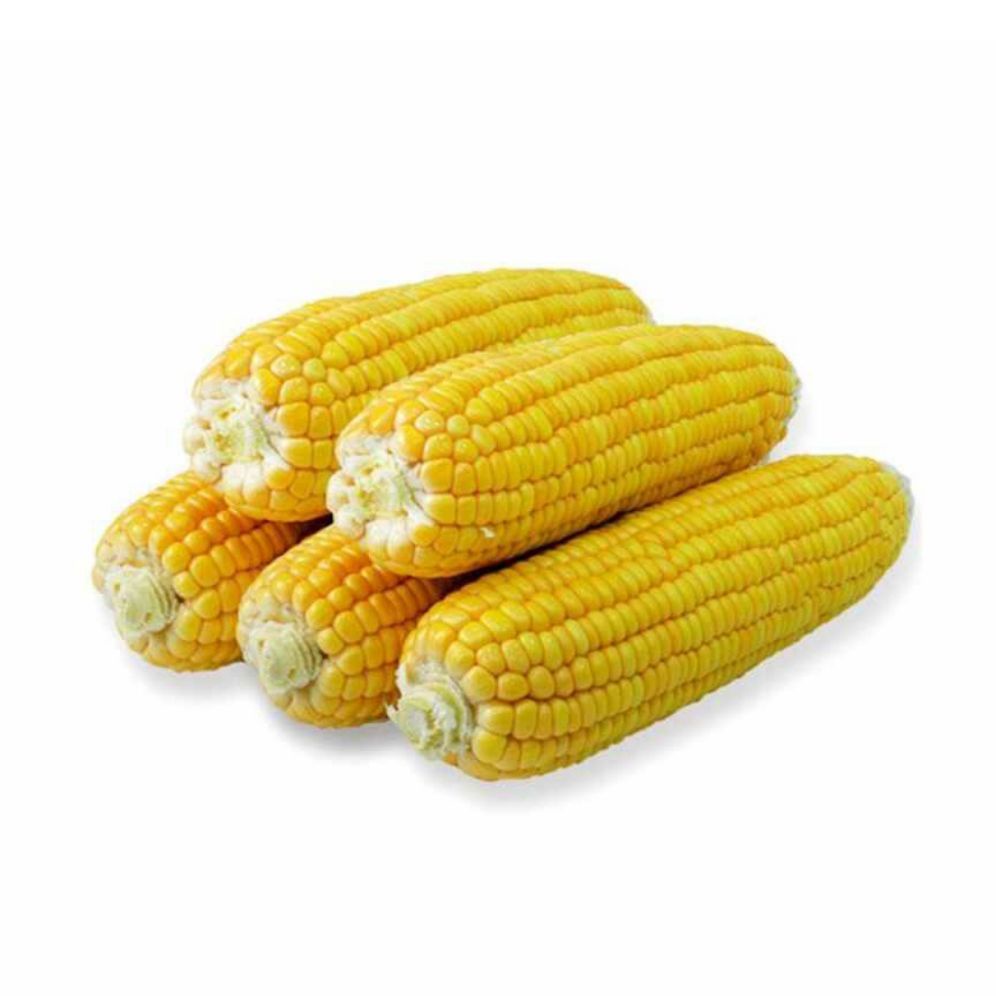 

PASAR SEGAR - JAGUNG 1PCS