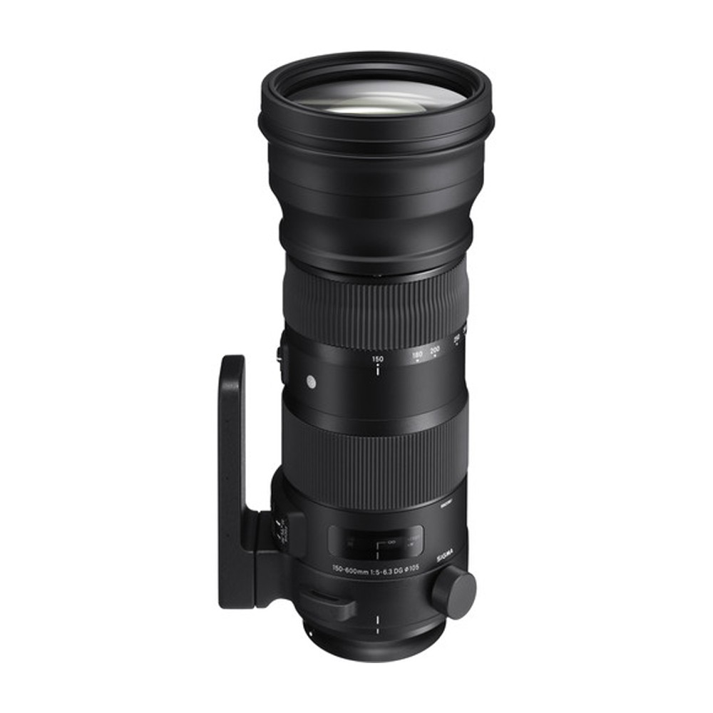 Sigma 150-600mm f/5-6.3 DG OS HSM Sports Lens