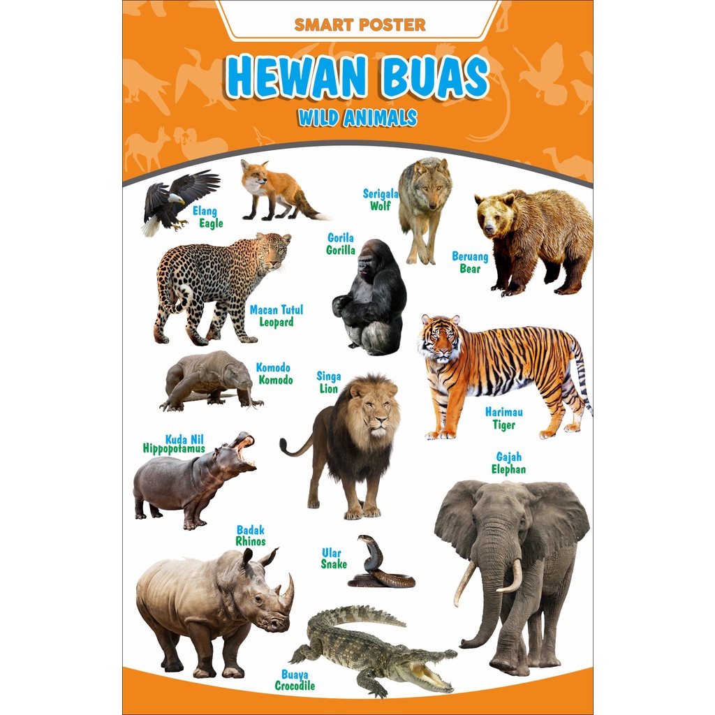POSTER EDUKASI BELAJAR MAINAN ANAK TK PAUD SD Mengenal Hewan Buas/Termurah dan kualitas sangat bagus