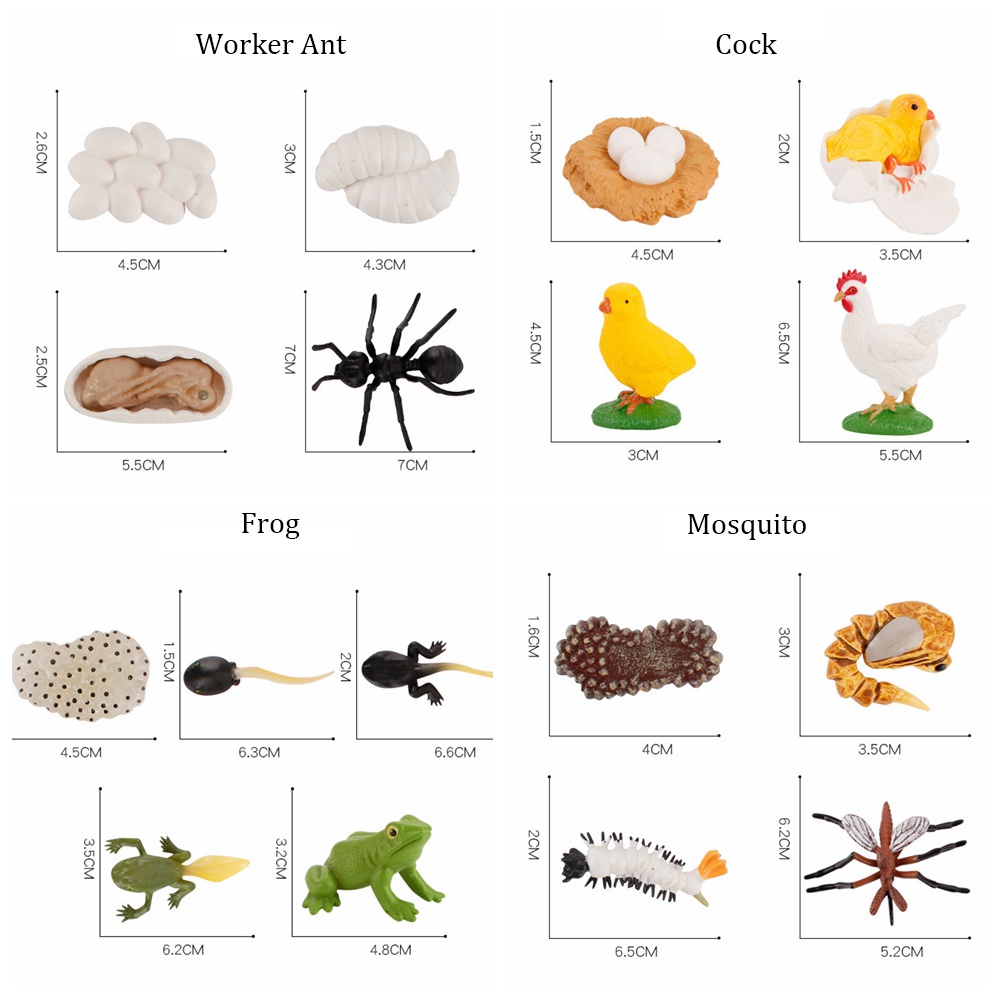 Mainan Simulasi Model Hewan Butterfly Ladybug Ayam Capung Untuk Edukasi Anak Tk