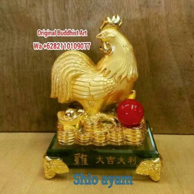 

Shio ayam