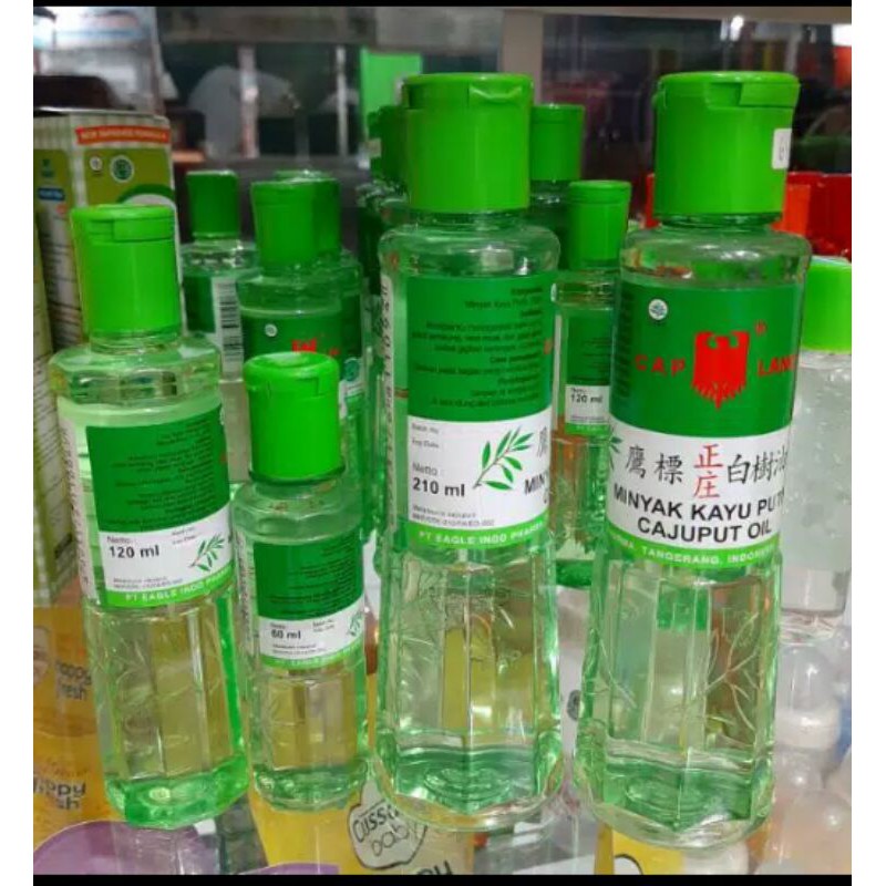 minyak kayu putih 60 ml
