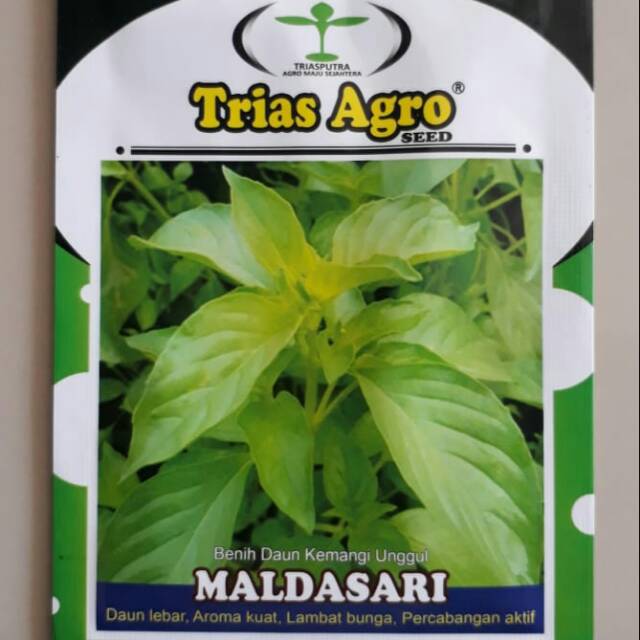 Benih Bibit Kemangi MALDASARI 10 gr || Benih Kemangi || Bibit Kemangi || Biji Kemangi || Benih Sayur