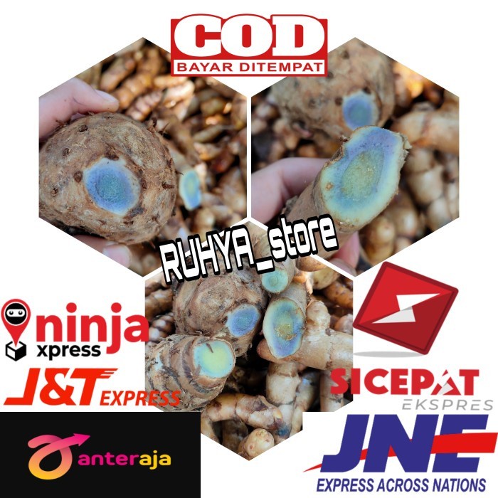 

Temu Ireng 500gr - Temu Hitam - Kunyit Hitam Kunir segar fresh