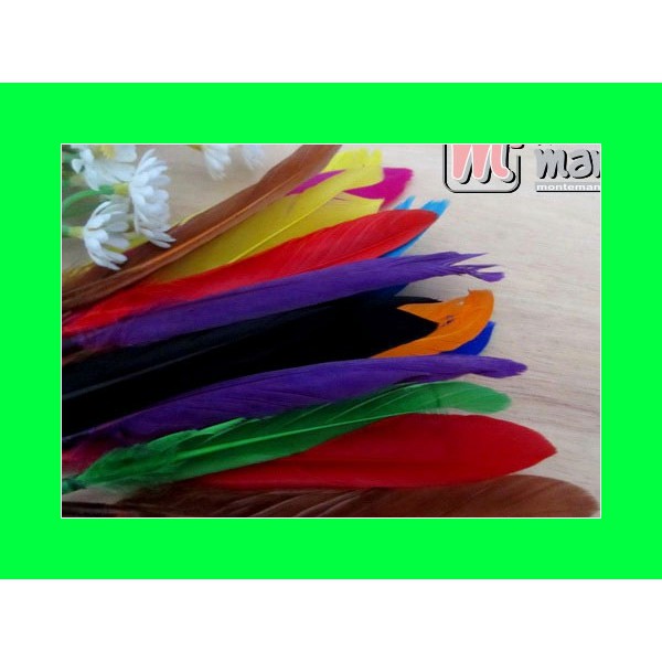 Bulu  Ayam Kreasi BLK-02 Toko Craft Online