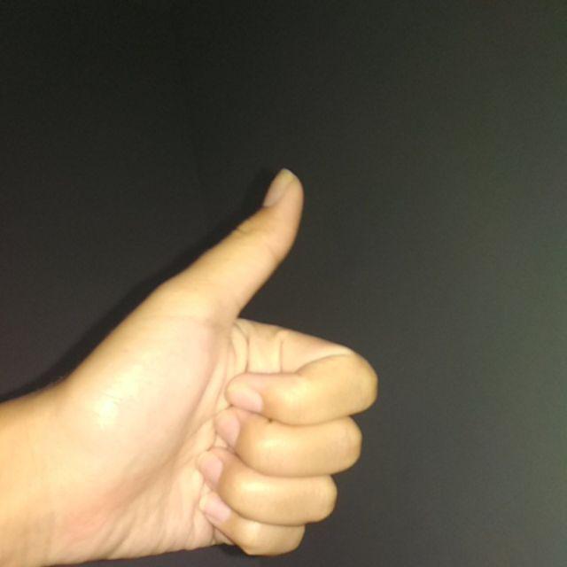 Pemeras Jeruk/lemon Stainless Steel