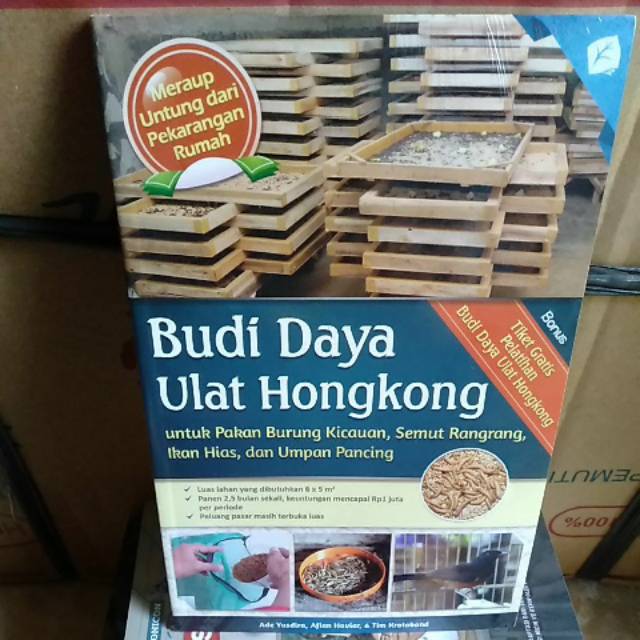 

buku budi daya ulat Hongkong