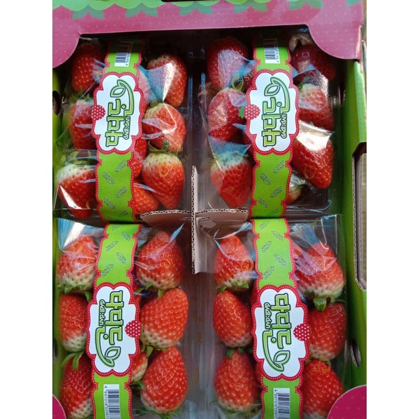 

strawberry korea