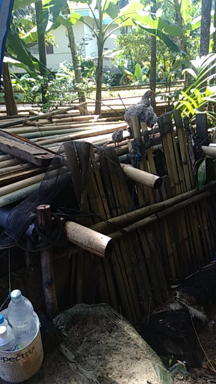 (ori & Busui_8 Varian Warna) Batik Couple Princes Hayunda Sarwendah Gamis Modern - Sarasvati Store