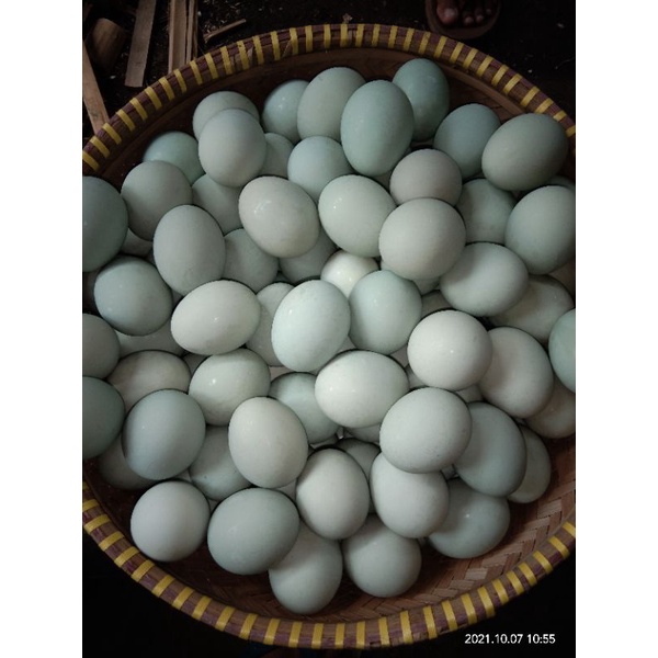 

Telor Asin mantap