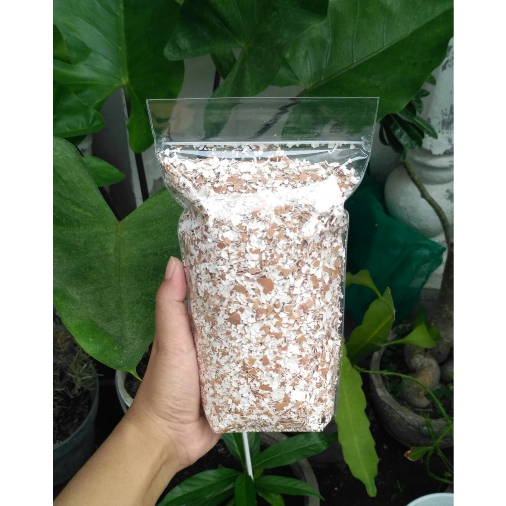 PUPUK ORGANIK CANGKANG TELUR / PUPUK TANAMAN / KULIT TELUR