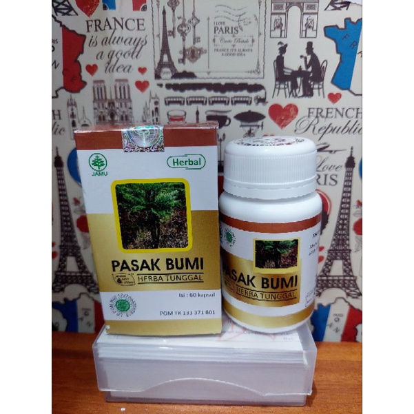 pasak bumi