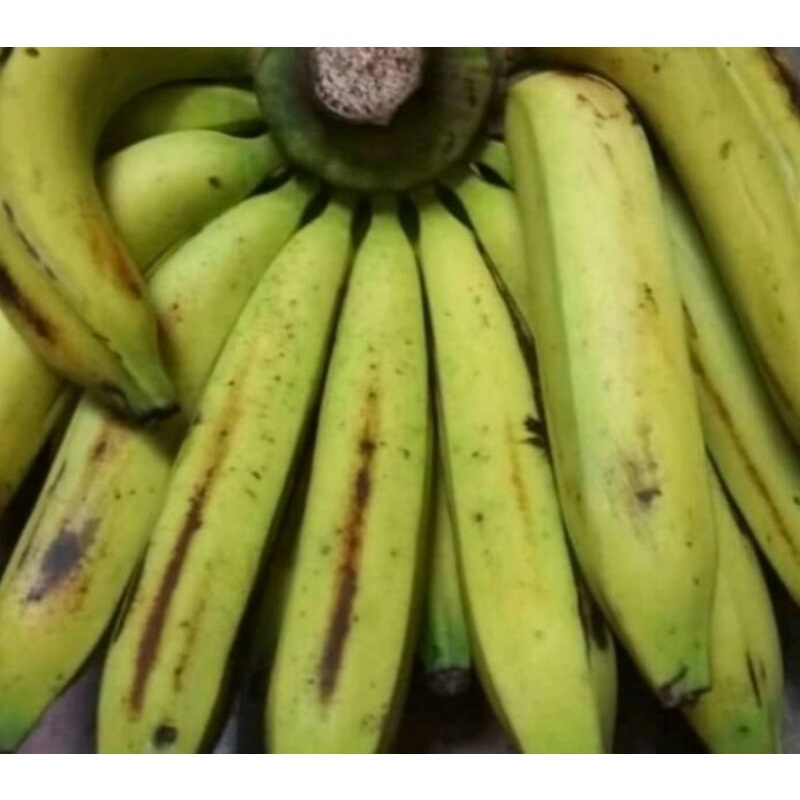 

pisang Ambon