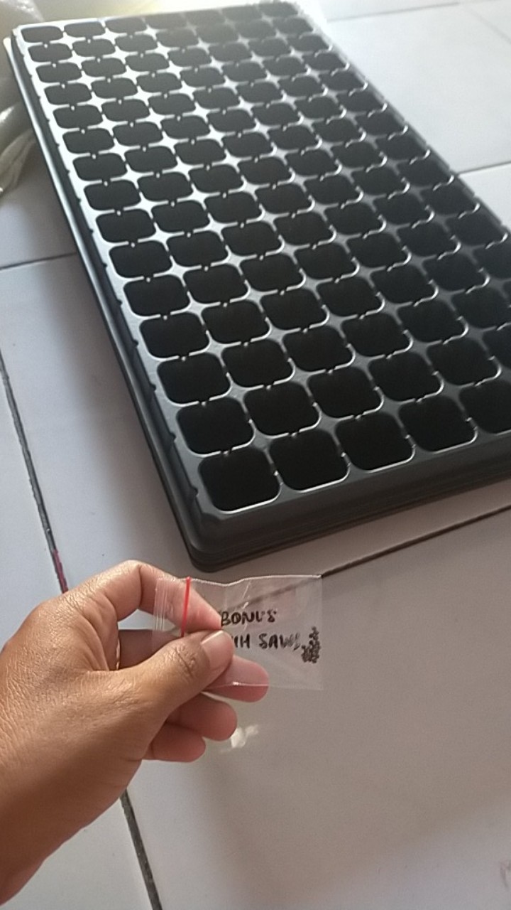 Pot Tray / Tray Semai Tipe 105 Lubang