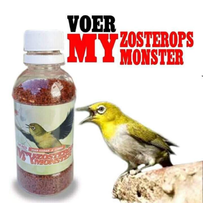 voer red zomo /voer high protein/voer burung pleci