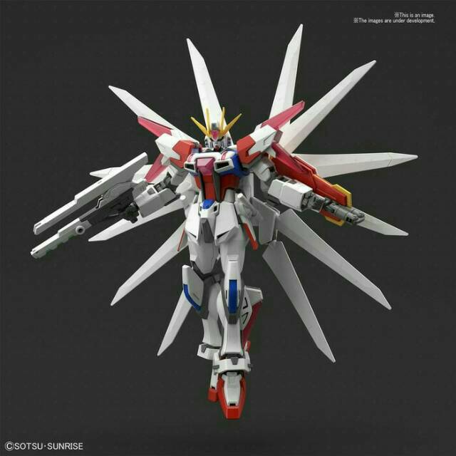 HG HGBF BANDAI BUILD STRIKE GALAXY COSMOS
