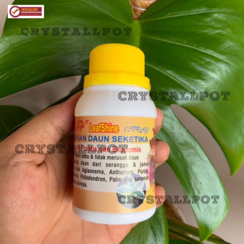 kilap leafshine spray 100ml - pengkilat daun bikin tanaman cantik