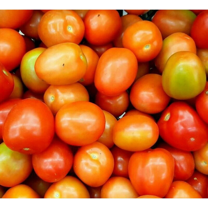 

BUAH TOMAT 1(pcs)