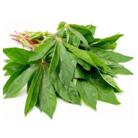 

Grosir Daun Singkong per Ikat Segar Murah