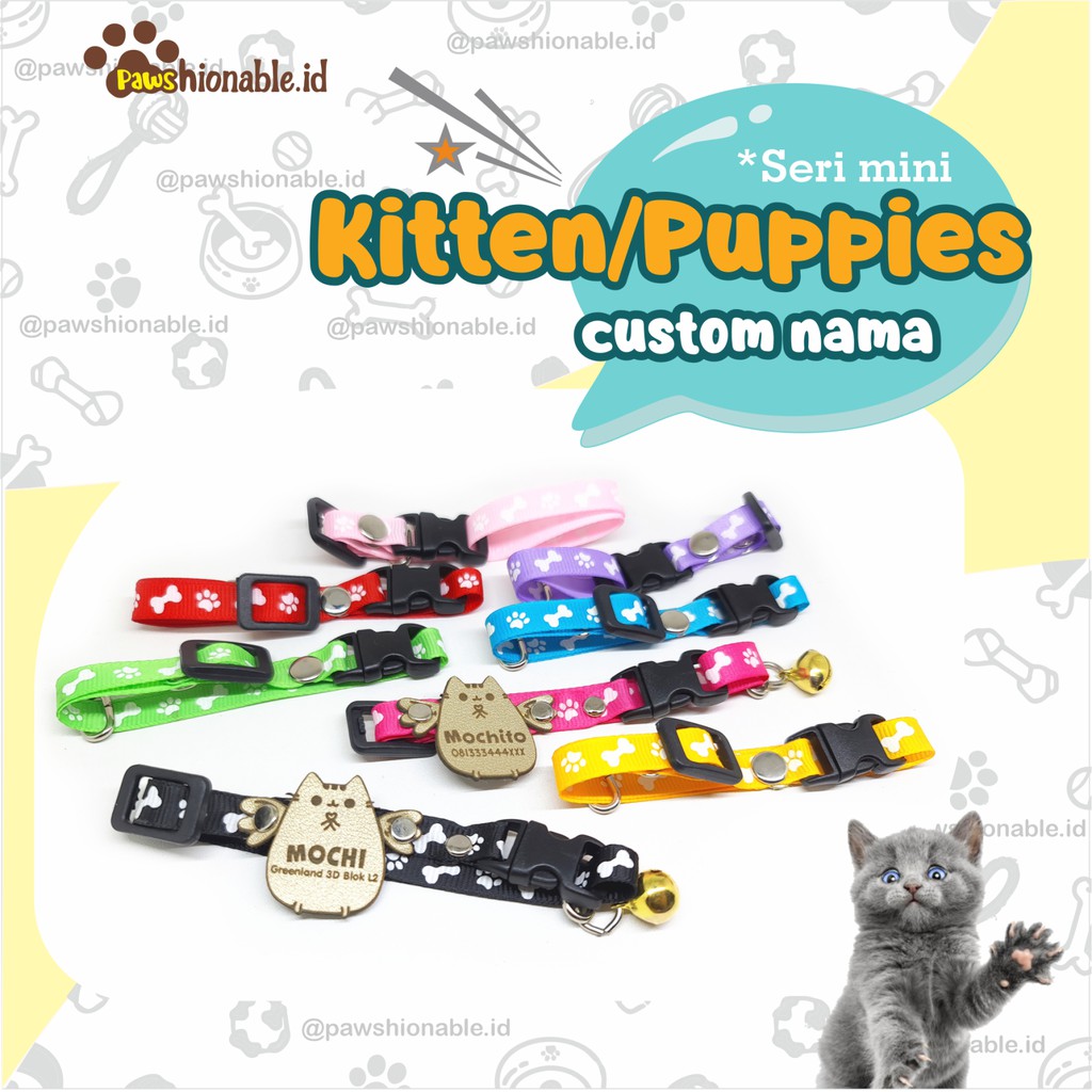 K39 Kalung Kucing Anjing Kecil khusus Kitten Puppies Custom Nama