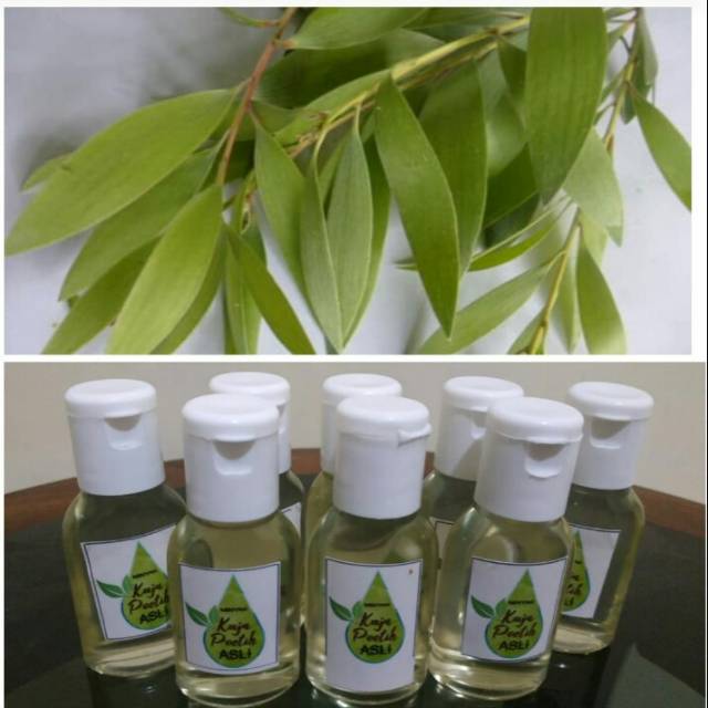 Minyak Kayu Putih Asli Perhutani