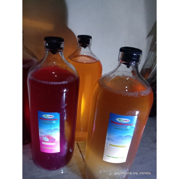 

Kombucha buah naga