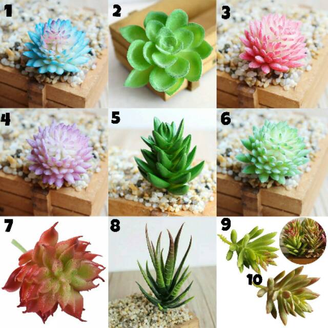 Tanaman Sukulen Artificial Lidah Buaya Palsu Tanaman Hias Plastik Hiasan Terrarium Kaktus Succulent