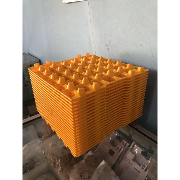 Tray telur plastik medion kapasitas 30