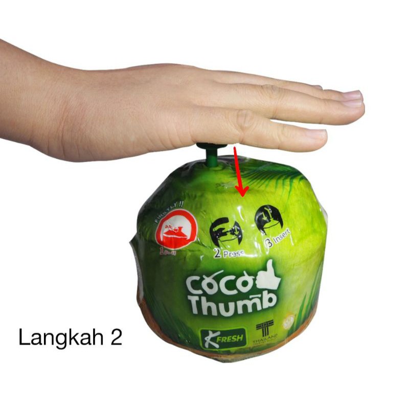 KELAPA COCO THUMB (AIR KELAPA MUDA Thailand) ORIGINAL / Kelapa Import