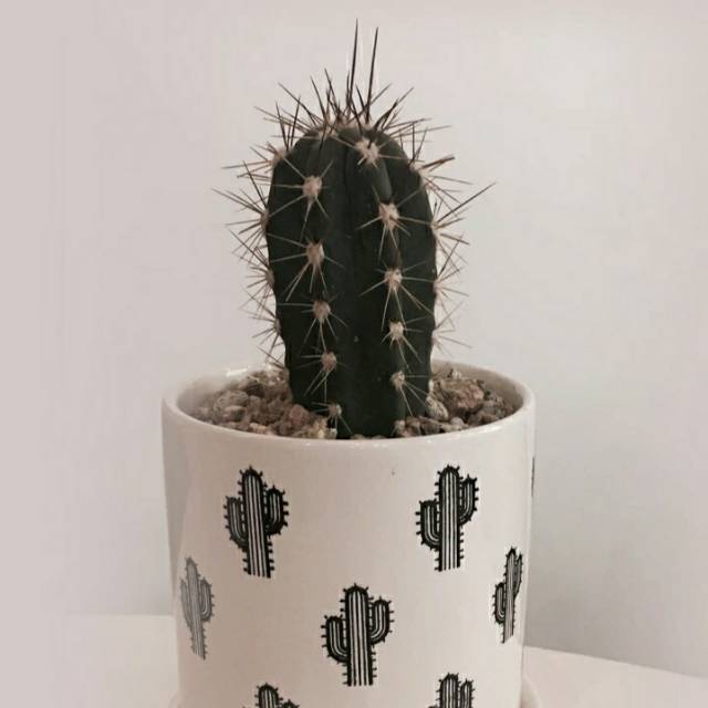 maythree27
