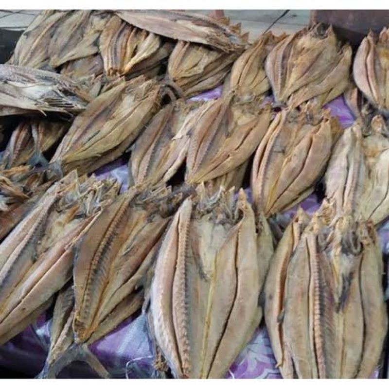 

iwak telang tenggiri