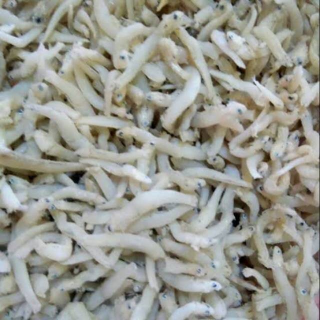 

IKAN TERI MEDAN