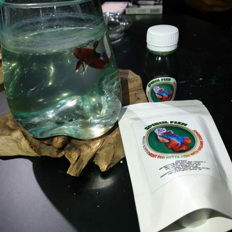Mempercepat mutasi warna Ikan Cupang, Hias Spirul Fish