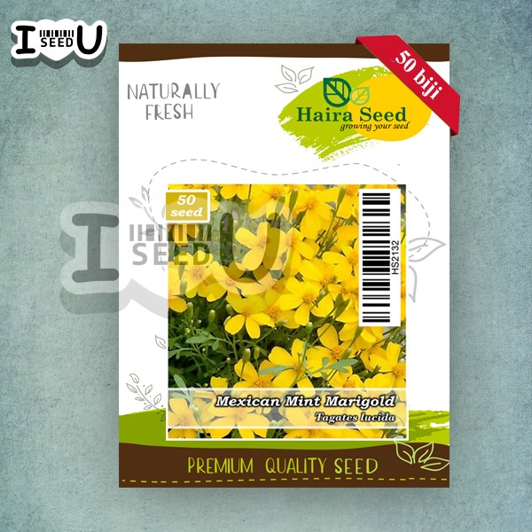 Bibit-Biji Marigold Mexican Mint (Haira Seed)