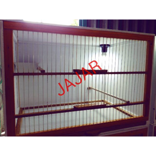 KANDANG TERNAK BURUNG FINCH: KENARI, GOLDAMADIN, BLACKTHROAT, ZEBRA FINCH, SANGER DLL