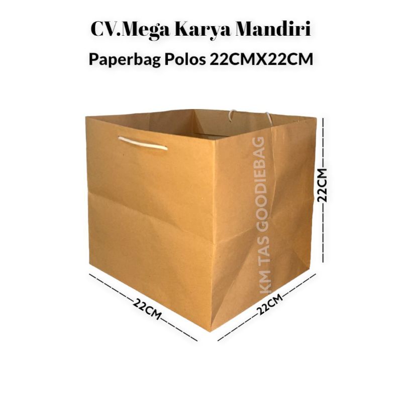 

Paperbag Kotak 22x22 Polos Isi 12pcs