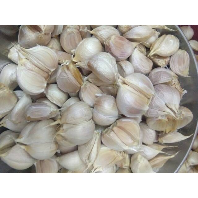 

Bawang putih kating