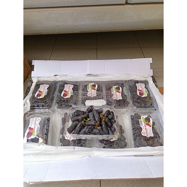 

Anggur Hitam Punnet Sweet Saphire Holyfresh (10 Pack) Fresh Import
