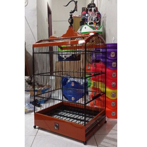 sangkar nepak ahx concept basic oren bukan ebod oriq radja sazime bnr kwk