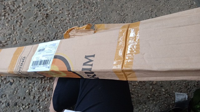 Bibit Alpukat Kendil Super Unggul