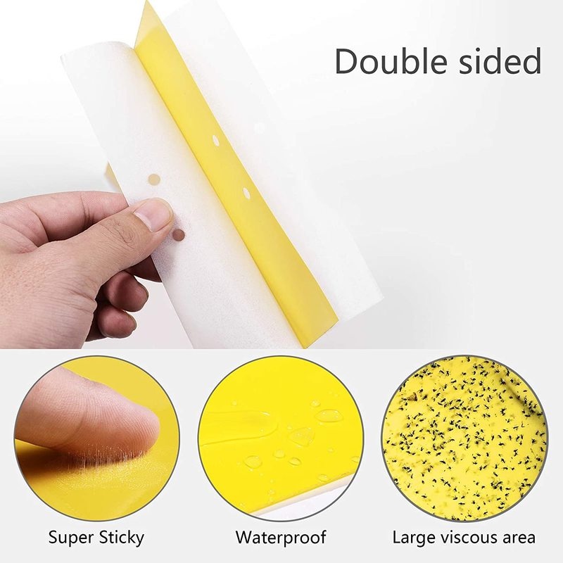 10pcs Dual-Sided Yellow Sticky Traps for Flying Plant Insect Such as Fungus Gnats, Whiteflies, Aphids, Leafminers,Thrips