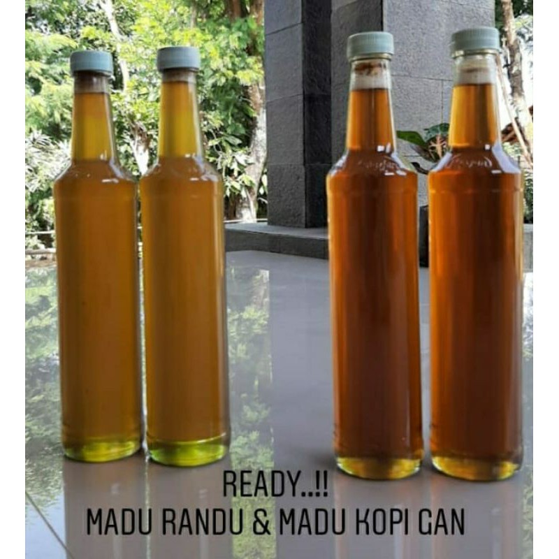 

Madu bunga kopi