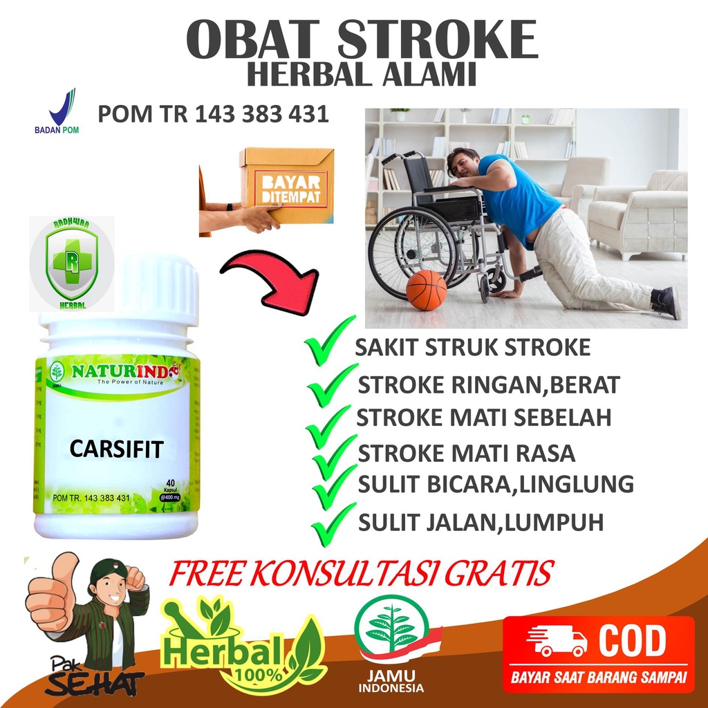 Obat Herbal Stroke Ampuh Struk Stroke Herbal Paling Ampuh Obat Struk lumpuh Menahun dan Ringan Mati 